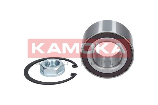 Wheel Bearing Kit KAMOKA 5600089 3