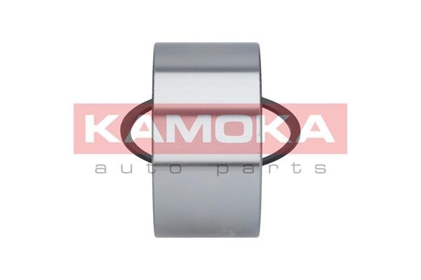 Wheel Bearing Kit KAMOKA 5600089 4