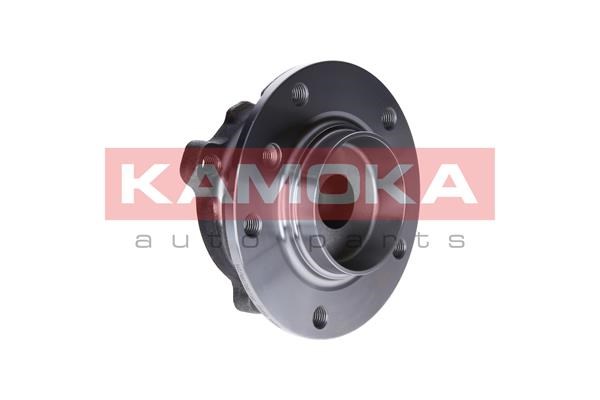 Wheel Bearing Kit KAMOKA 5500132 4