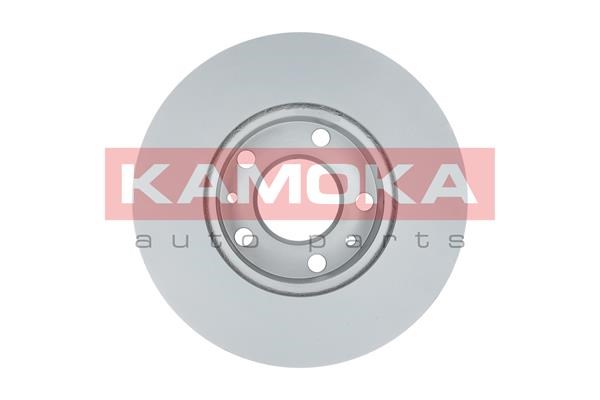 Brake Disc KAMOKA 1031534 2