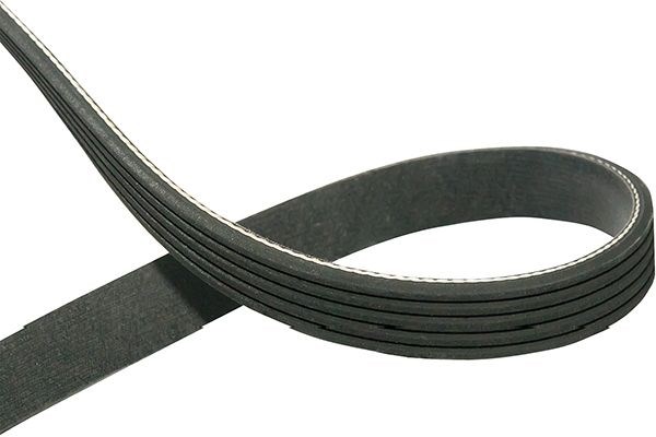 V-Ribbed Belts KAVO PARTS DMV-3030
