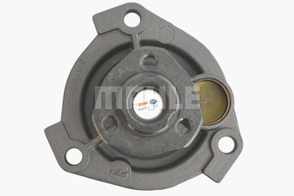 Water Pump, engine cooling MAHLE CP138000P 2