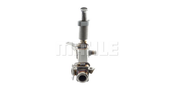 Cooler, exhaust gas recirculation MAHLE CE21000P 3