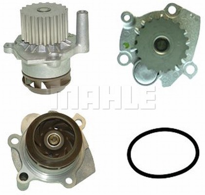 Water Pump, engine cooling MAHLE CP6000P 2
