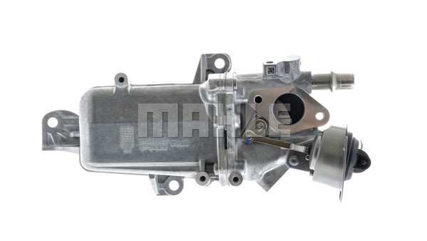 Cooler, exhaust gas recirculation MAHLE CE36000P 9