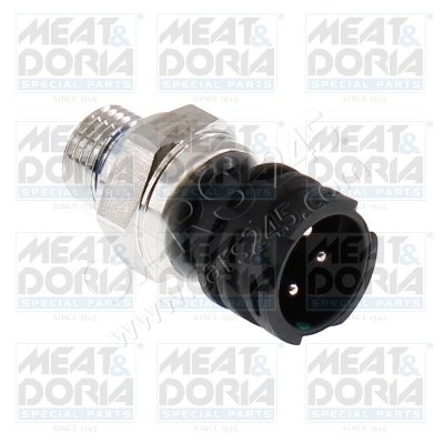 Oil Pressure Switch MEAT & DORIA 72130 main