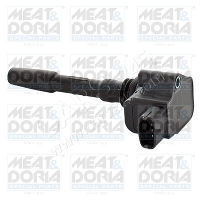 Ignition Coil MEAT & DORIA 10810