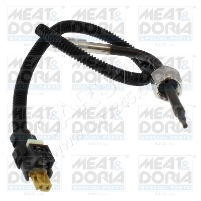 Sensor, exhaust gas temperature MEAT & DORIA 12831 main