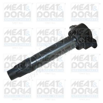 Ignition Coil MEAT & DORIA 10729
