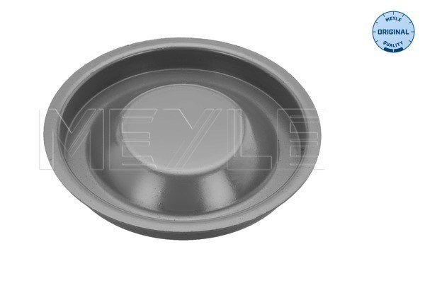 Cover Plate, clutch release bearing MEYLE 1001410001
