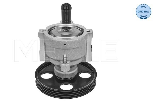 Hydraulic Pump, steering system MEYLE 16-166310003 2