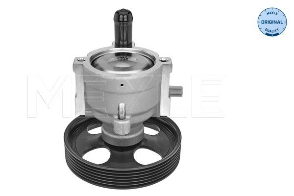 Hydraulic Pump, steering system MEYLE 16-166310005 2