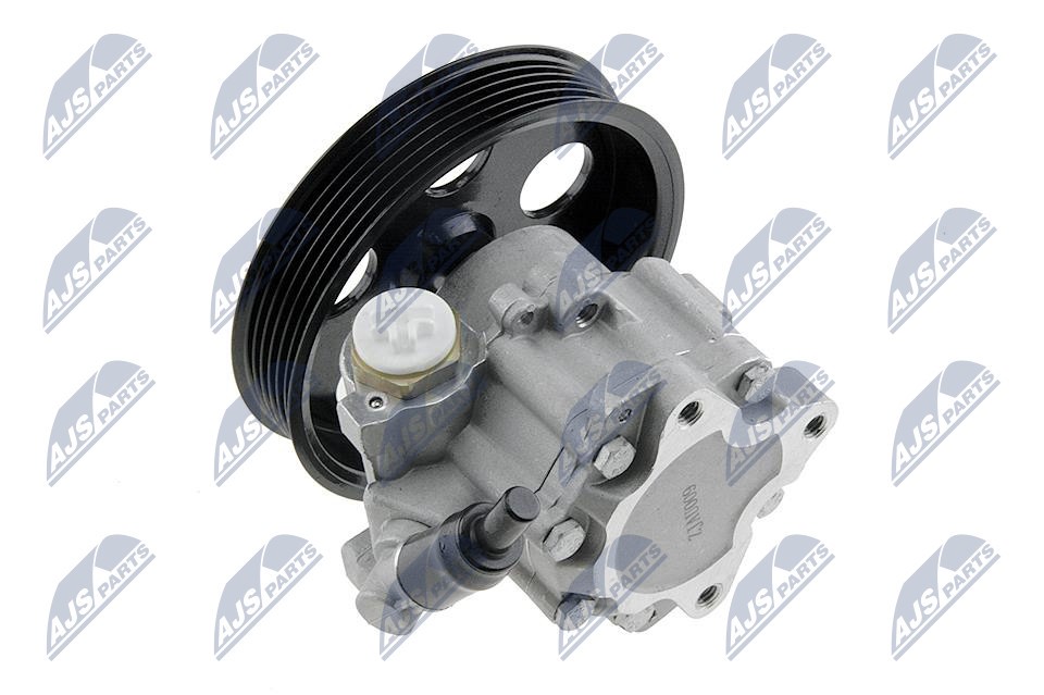 Hydraulic Pump, steering system NTY SPW-AU-009 2