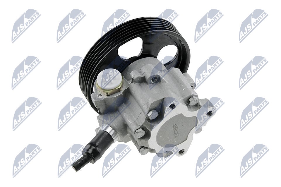 Hydraulic Pump, steering system NTY SPW-CT-003 2