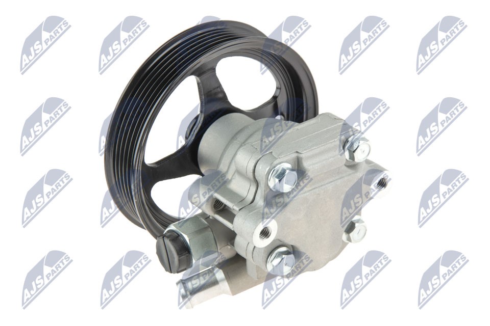 Hydraulic Pump, steering system NTY SPW-CH-027 2