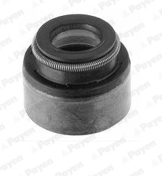 Seal Ring, valve stem PAYEN PA658