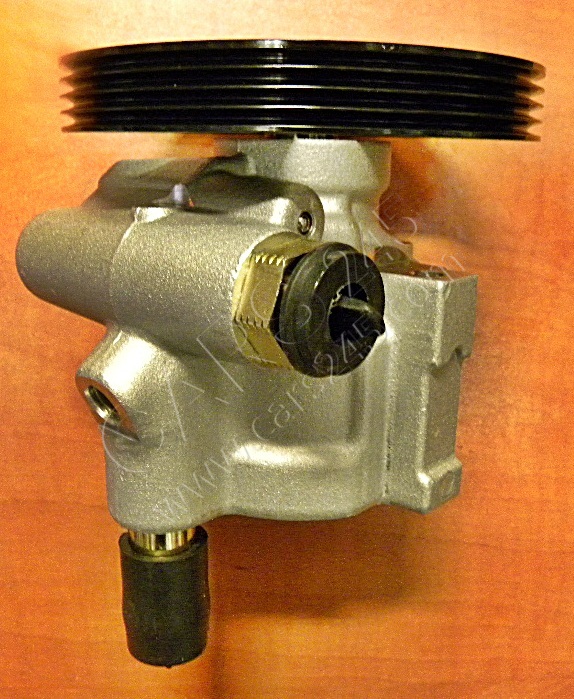 Hydraulic Pump, steering system QAP 17152 3