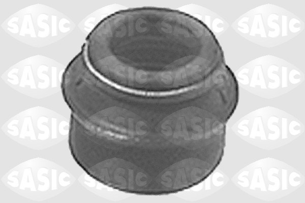 Seal Ring, valve stem SASIC 9560220