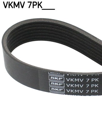 V-Ribbed Belt skf VKMV7PK1970