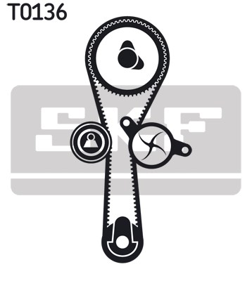Timing Belt Kit skf VKMA06010 2