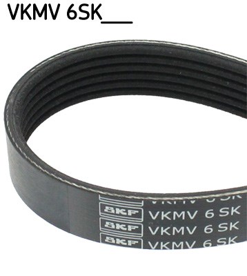 V-Ribbed Belt skf VKMV6SK1019