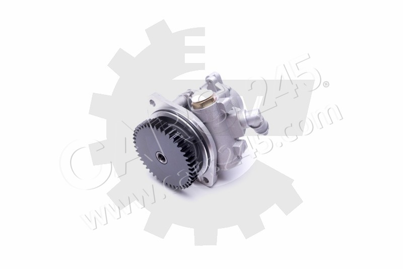 Hydraulic Pump, steering system SKV Germany 10SKV289 4