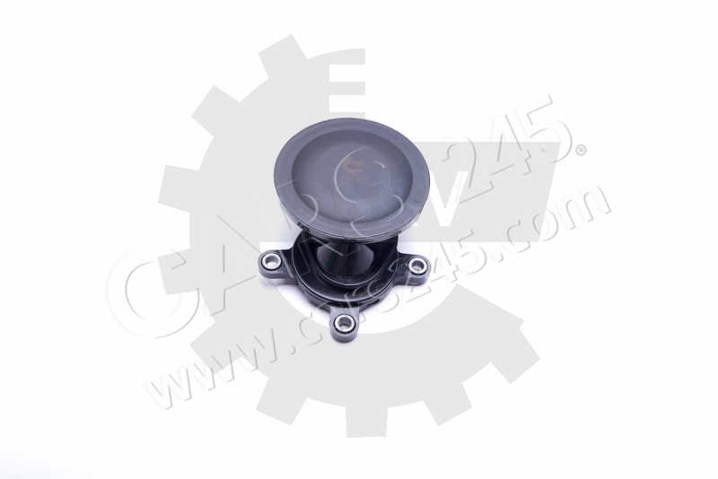 Valve, crankcase ventilation SKV Germany 31SKV159 2