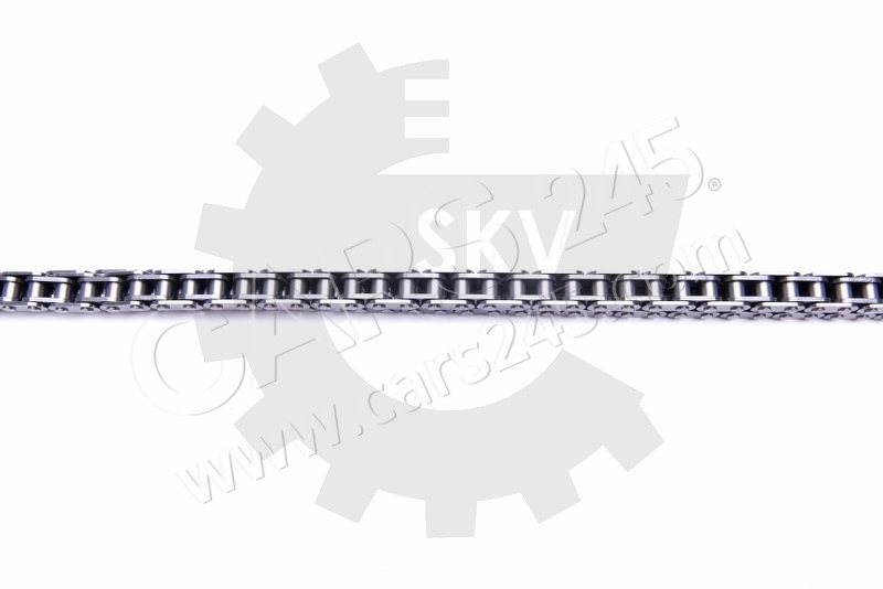 Timing Chain Kit SKV Germany 21SKV171 3