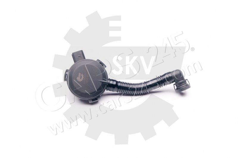 Valve, crankcase ventilation SKV Germany 31SKV020 2