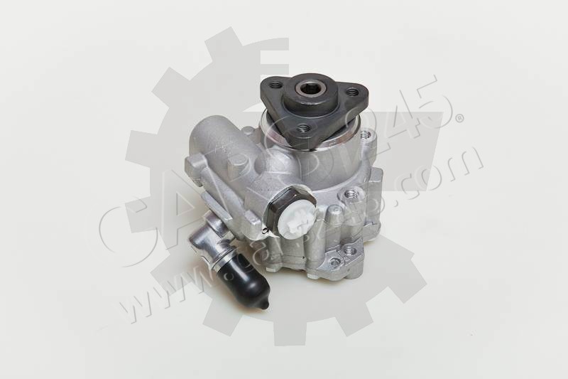 Hydraulic Pump, steering system SKV Germany 10SKV049 5
