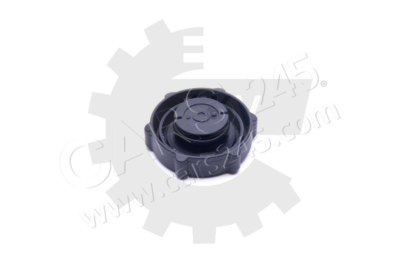 Seal Ring, power steering pump blanking plug SKV Germany 61SKV029 2