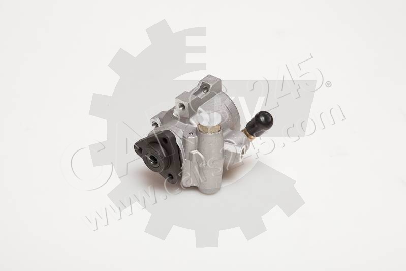 Hydraulic Pump, steering system SKV Germany 10SKV055