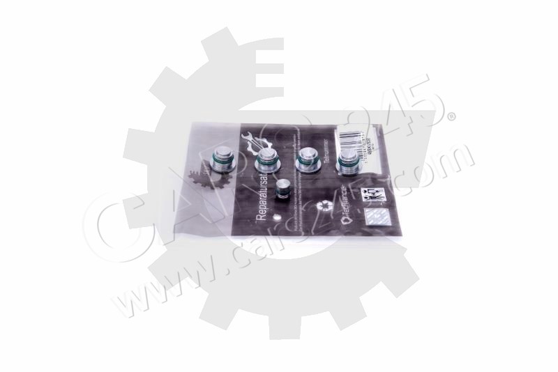 Repair Kit, intake manifold module SKV Germany 49SKV530