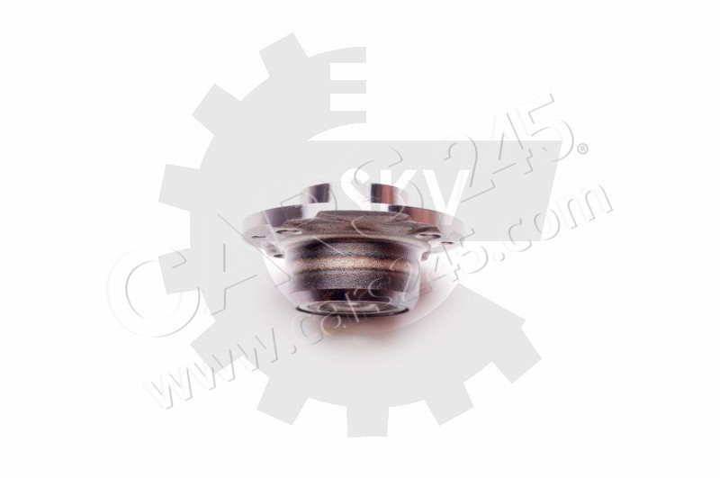 Wheel Bearing Kit SKV Germany 29SKV022 3