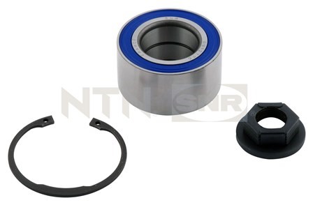 Wheel Bearing Kit SNR R15263