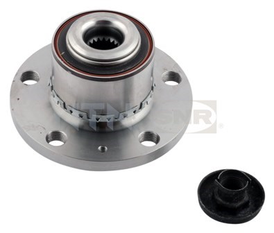 Wheel Bearing Kit SNR R17805