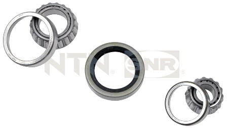 Wheel Bearing Kit SNR R15105