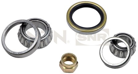 Wheel Bearing Kit SNR R17005