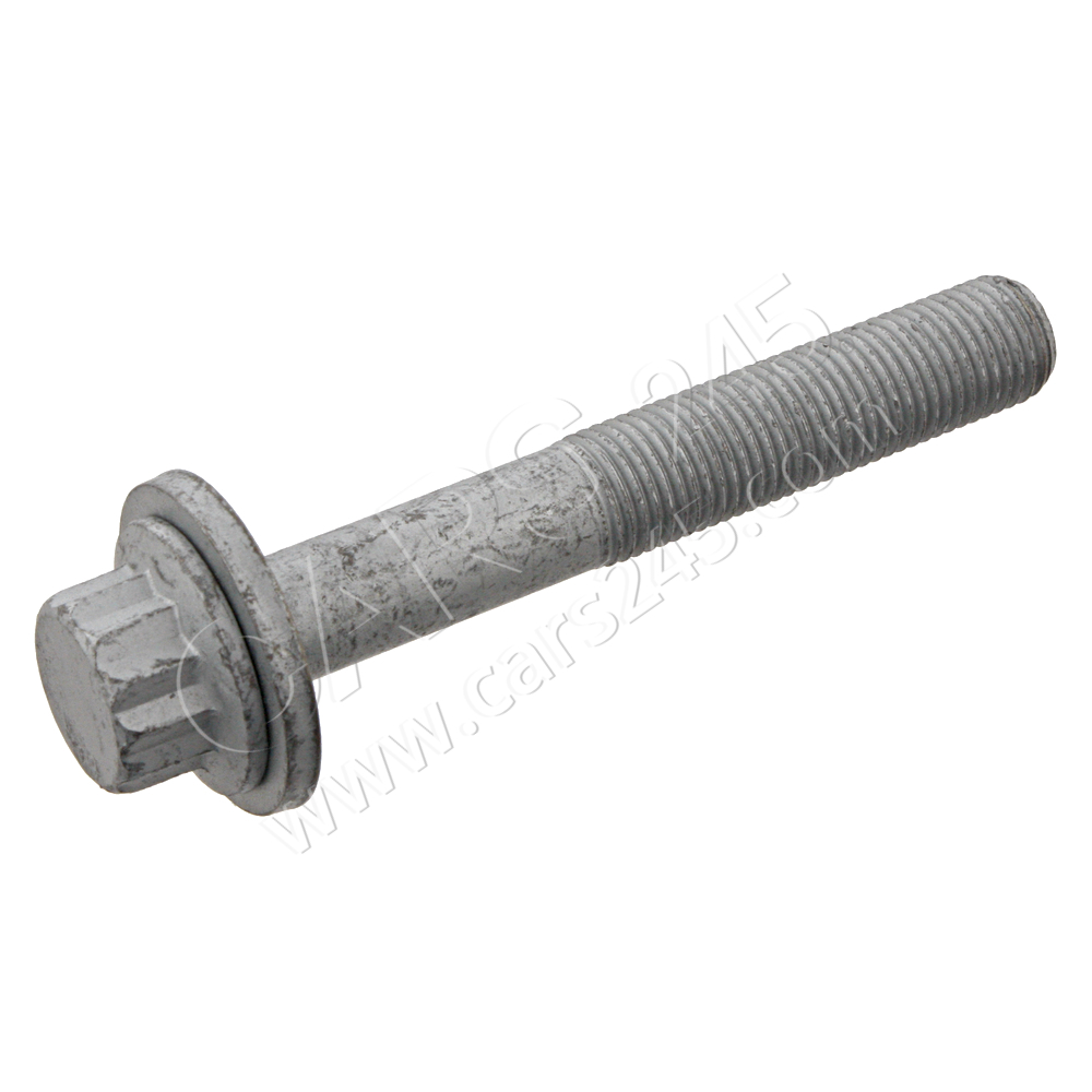 Pulley Bolt SWAG 30932025