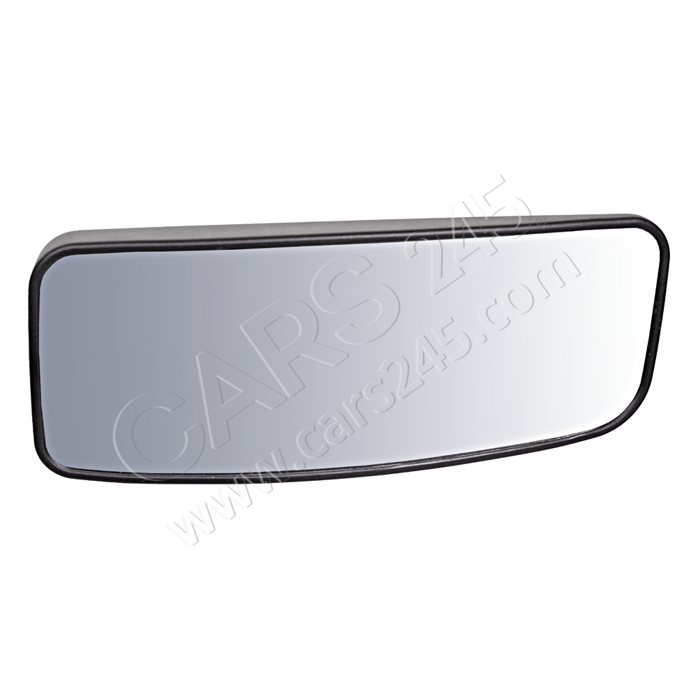 Mirror Glass, wide angle mirror SWAG 30102563