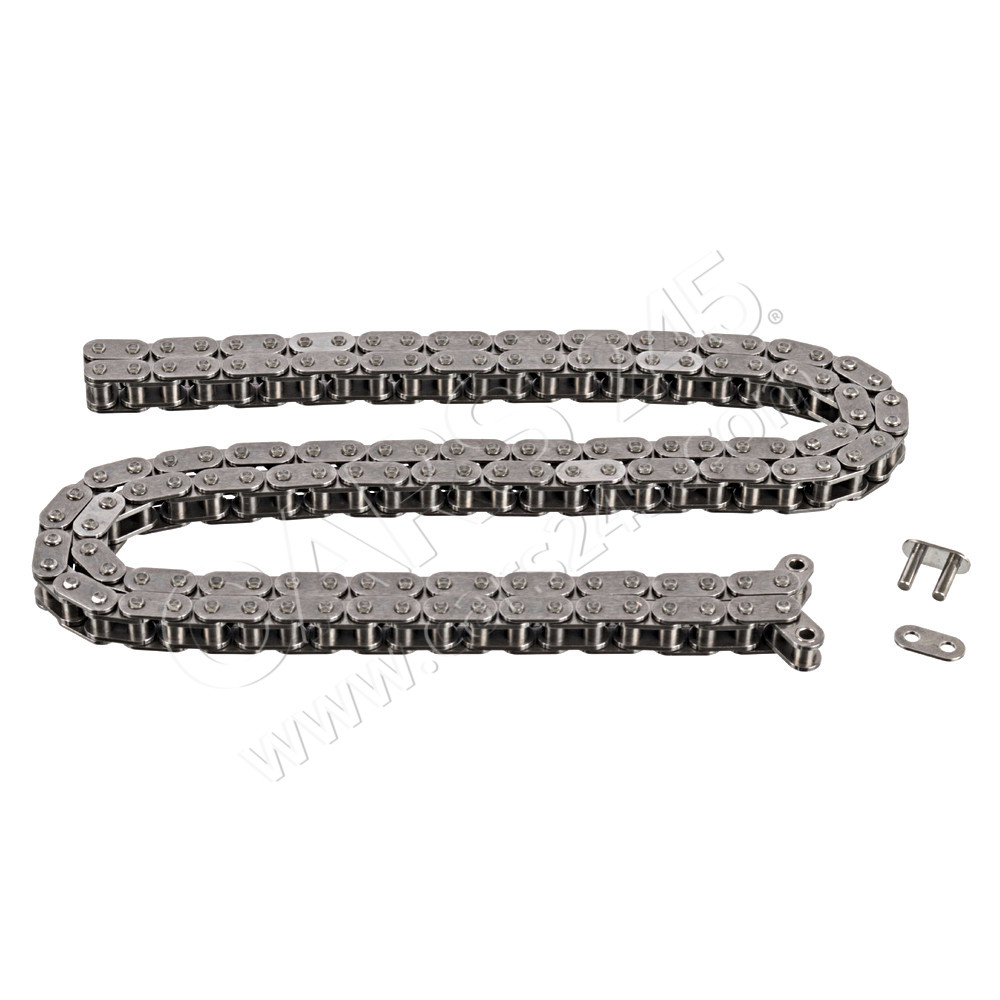 Timing Chain SWAG 99177012