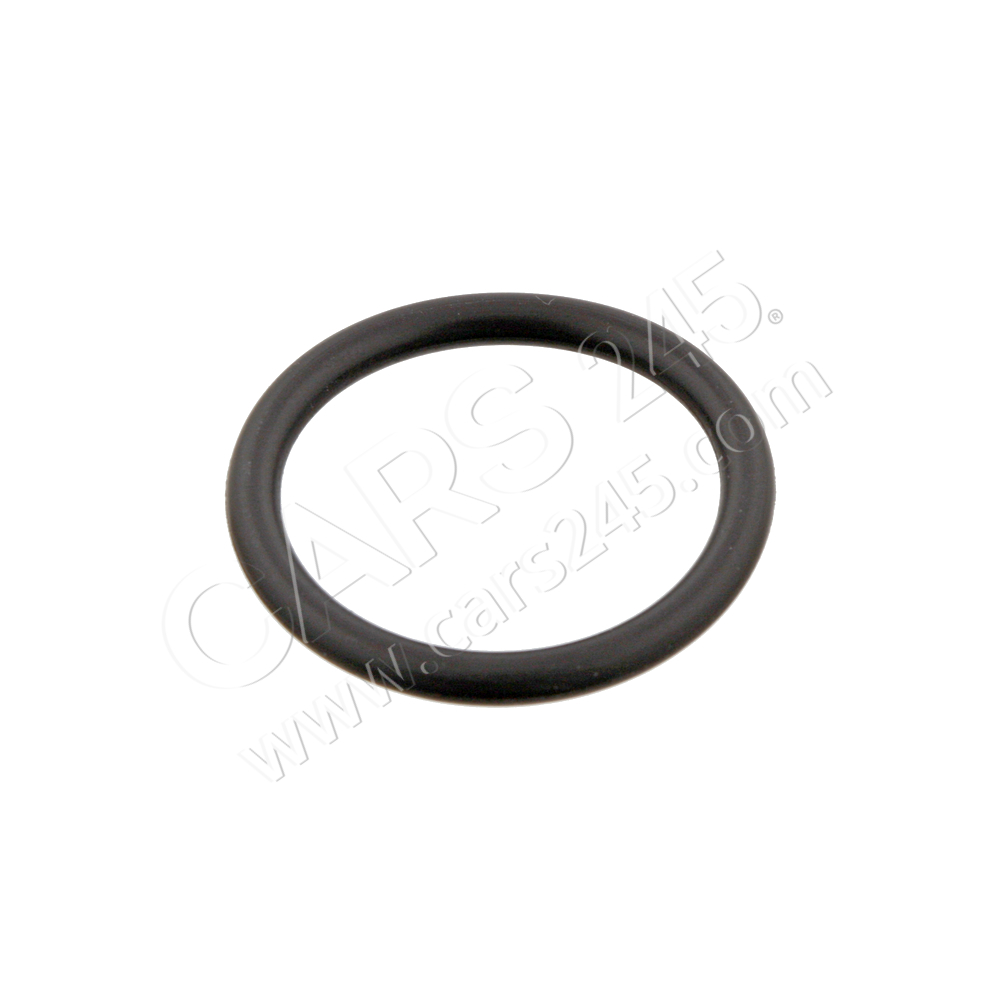 Seal Ring, coolant pipe SWAG 30929752