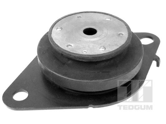 Mounting, manual transmission support TEDGUM 00586856
