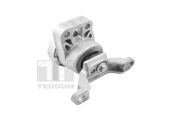 Mounting, engine TEDGUM TED36070 2
