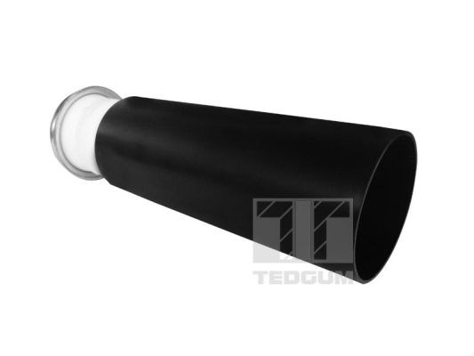 Dust Cover Kit, shock absorber TEDGUM 00679052