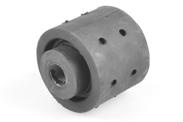 Mounting, differential TEDGUM 00089059 2
