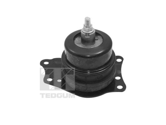 Mounting, engine TEDGUM TED40385 2