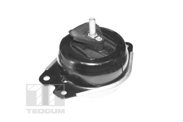 Mounting, engine TEDGUM TED40414