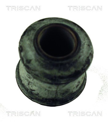 Mounting, control/trailing arm TRISCAN 850065809