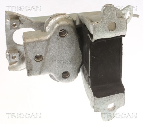 Mounting, engine TRISCAN 850510127
